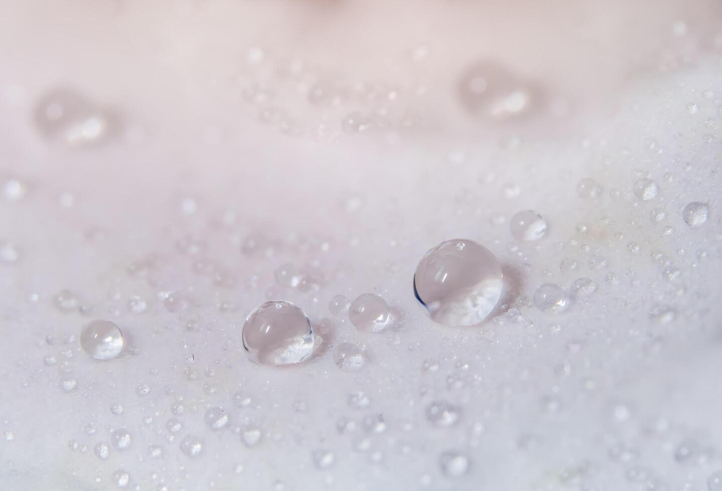 Water drops on a pink rose petal photo