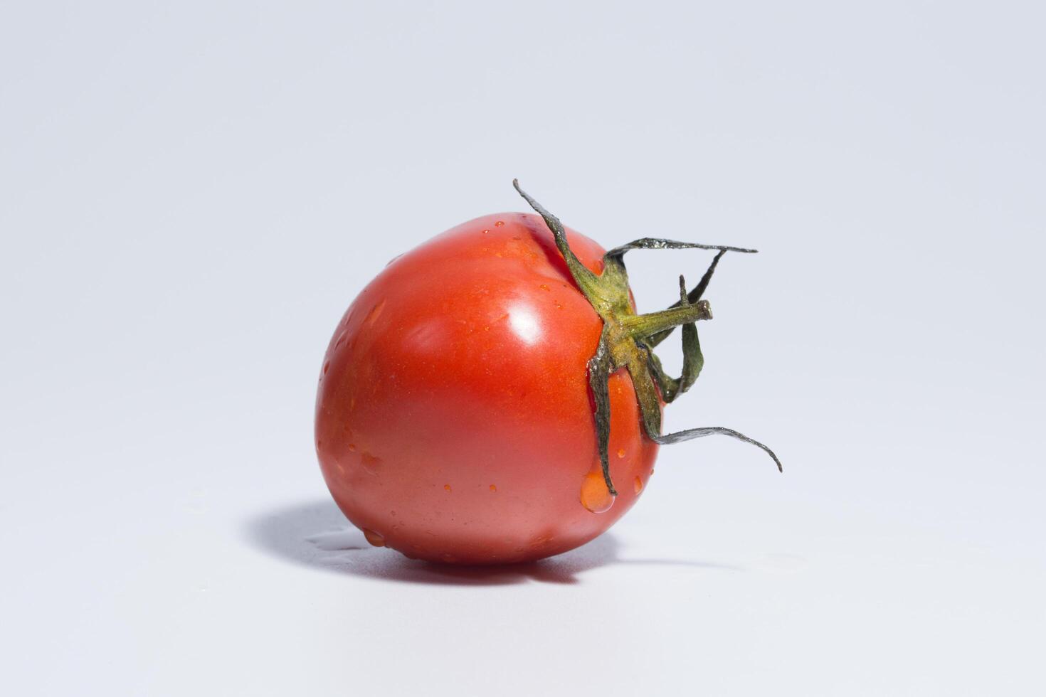 Tomato on white background photo