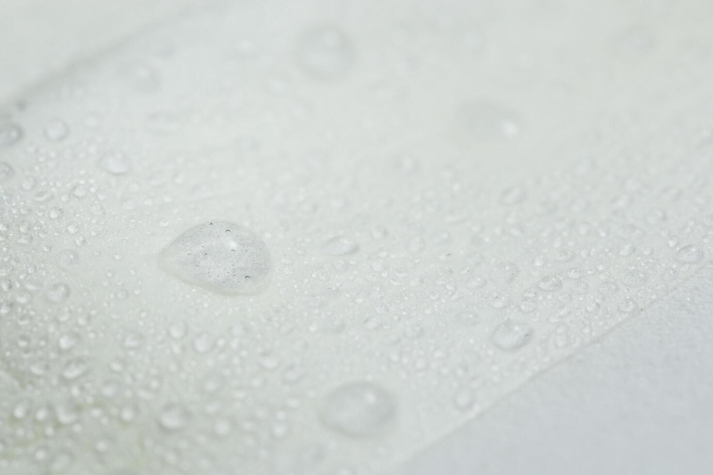 Water drops on a lotus petal photo