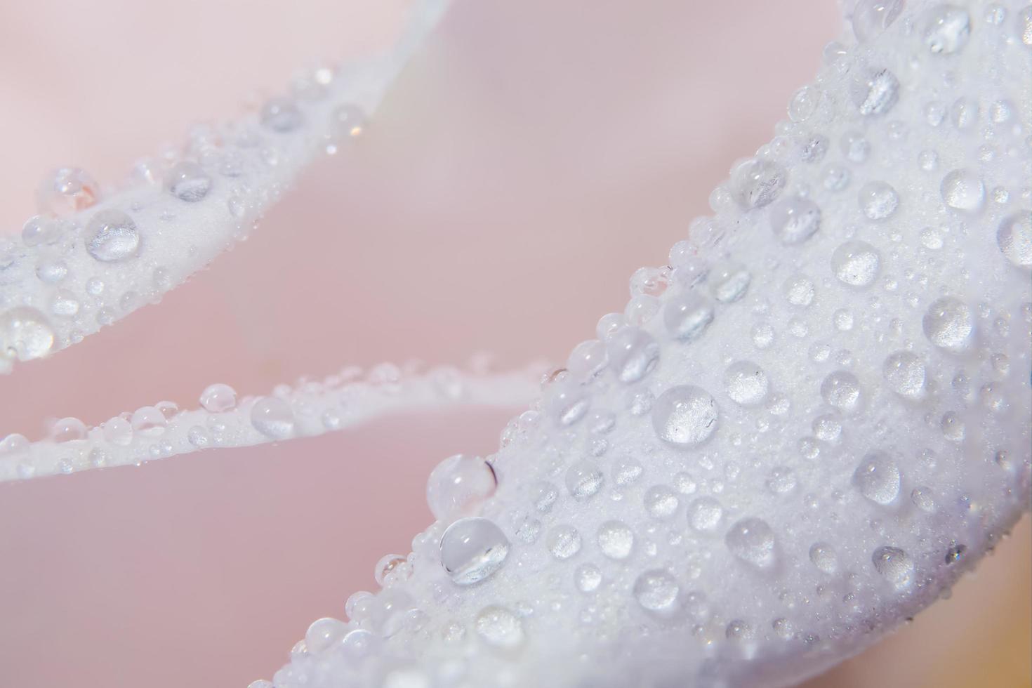 Water drops on a pink rose petal photo