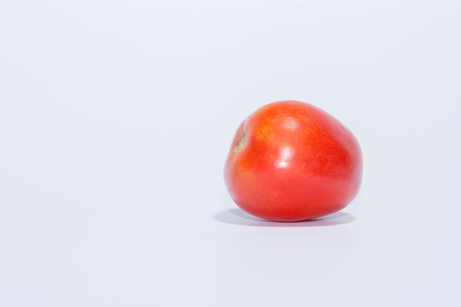 Tomato on white background photo