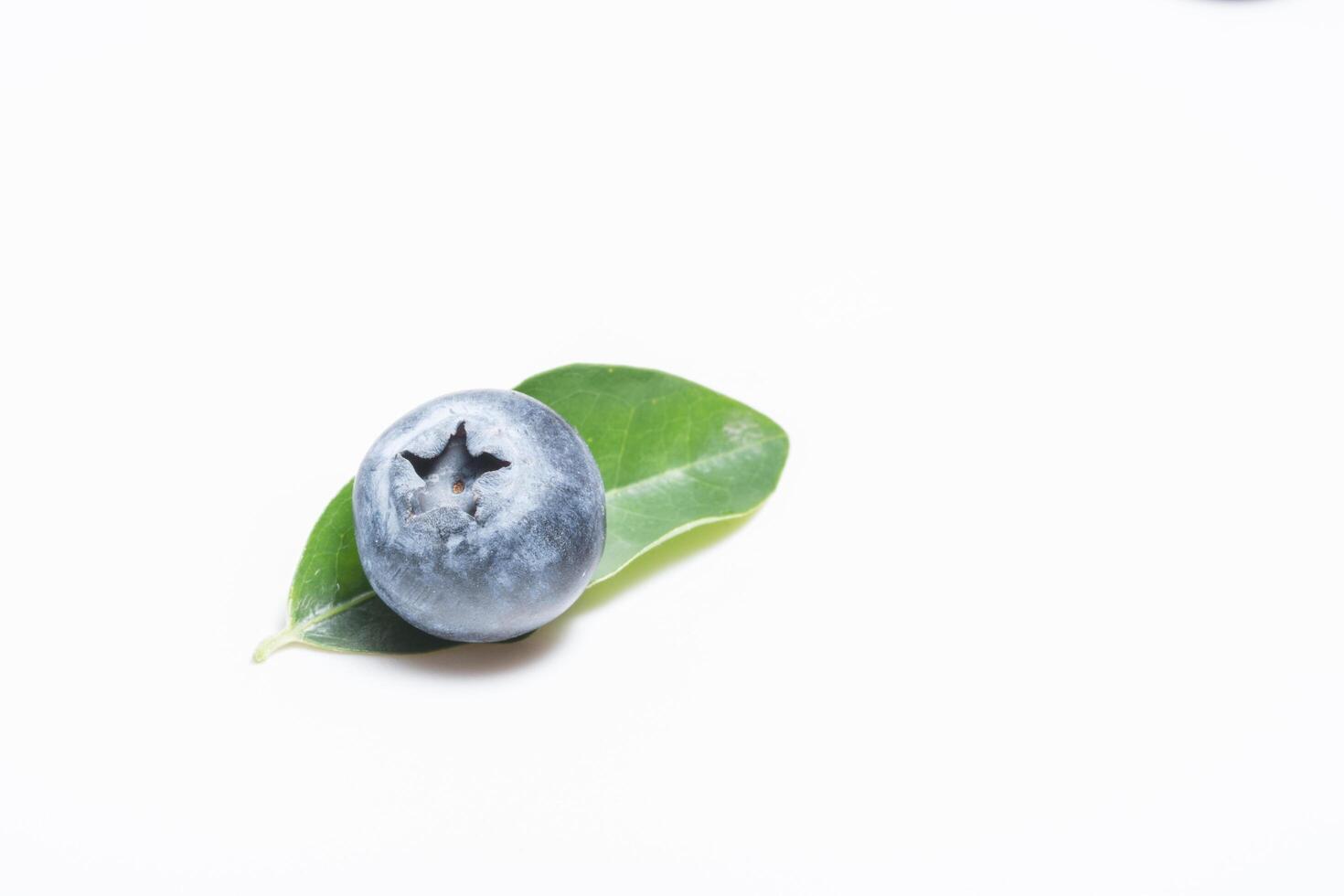 Blueberry on white background photo