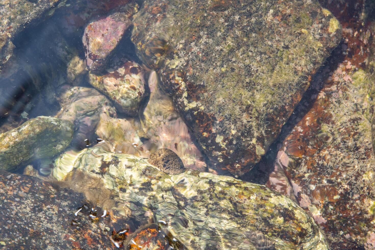 Rocks at the sea photo