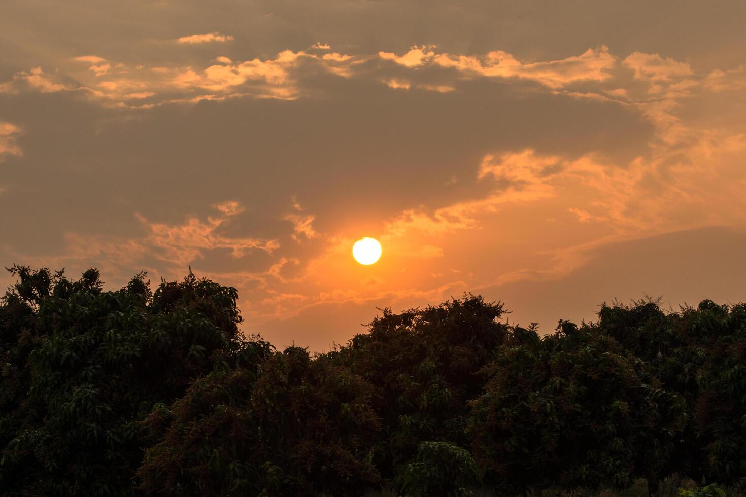 View of the rising sun photo