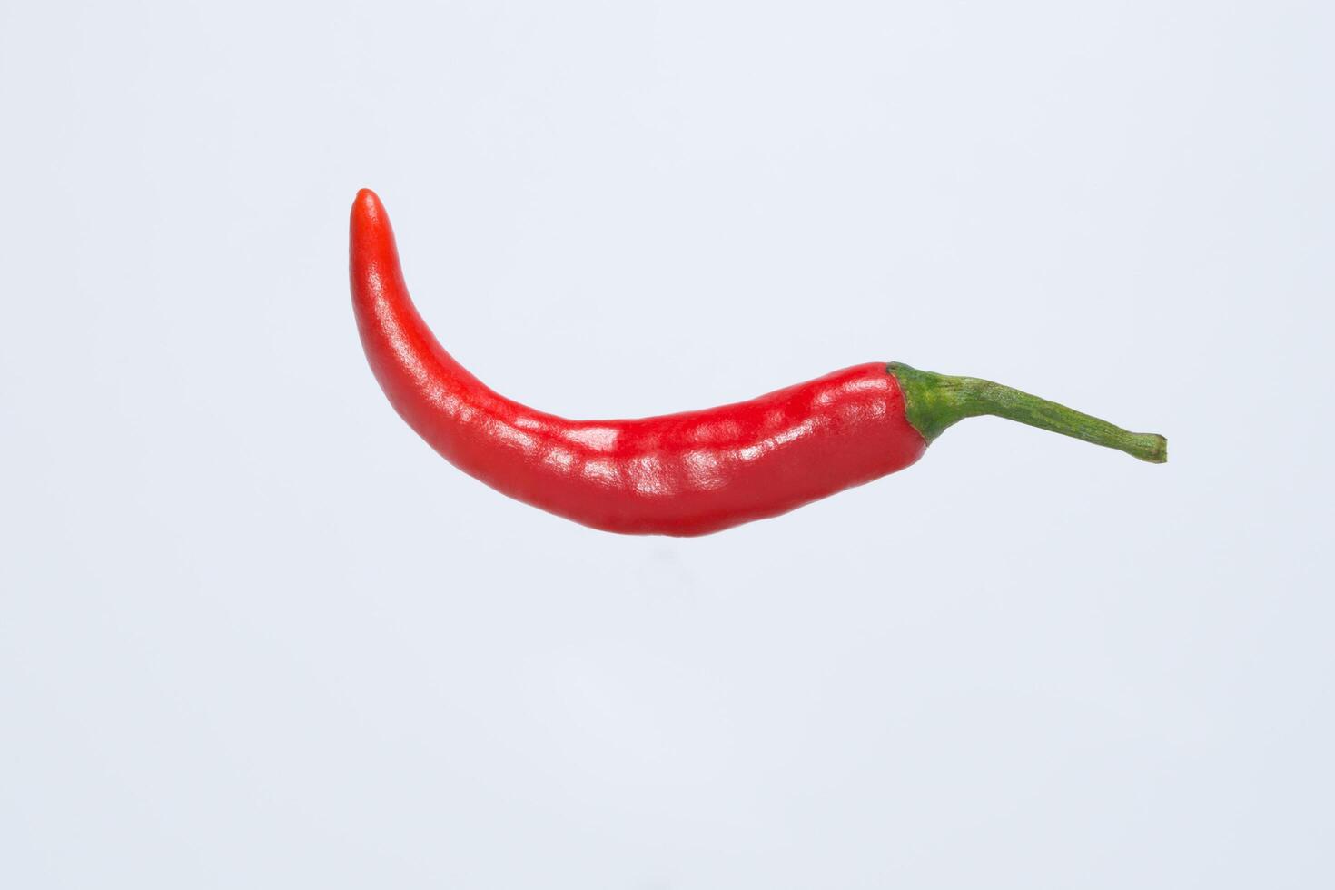 Red pepper on white background photo