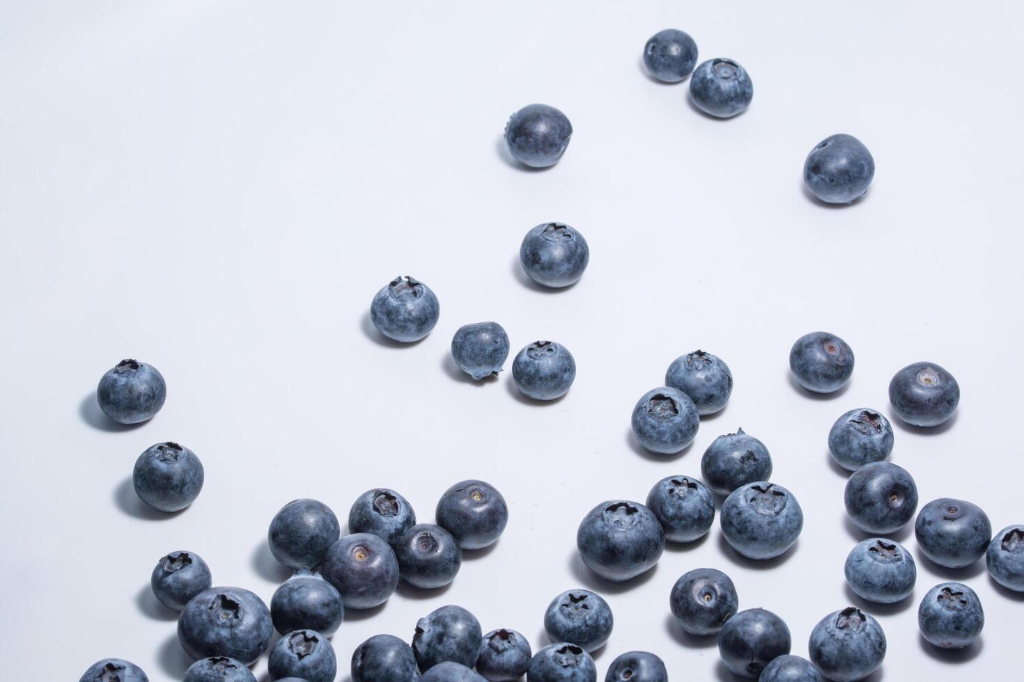 Blueberries on white background photo