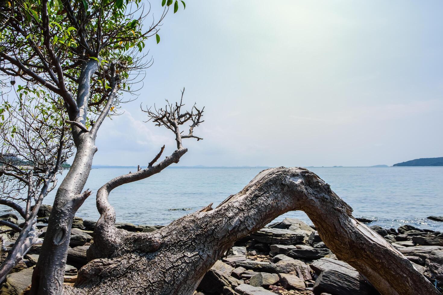 The seaside at Khao Laem Ya National Park photo