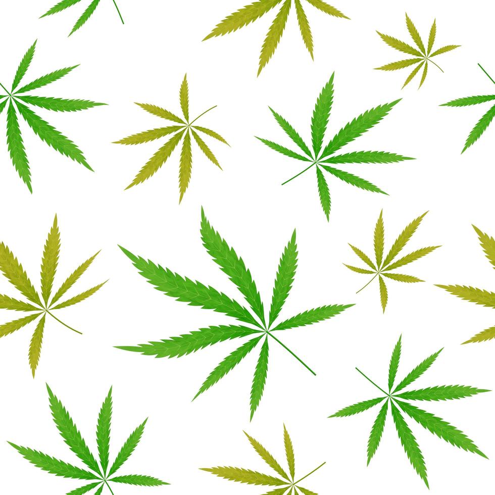 Green cannabis leaf seamless pattern vector