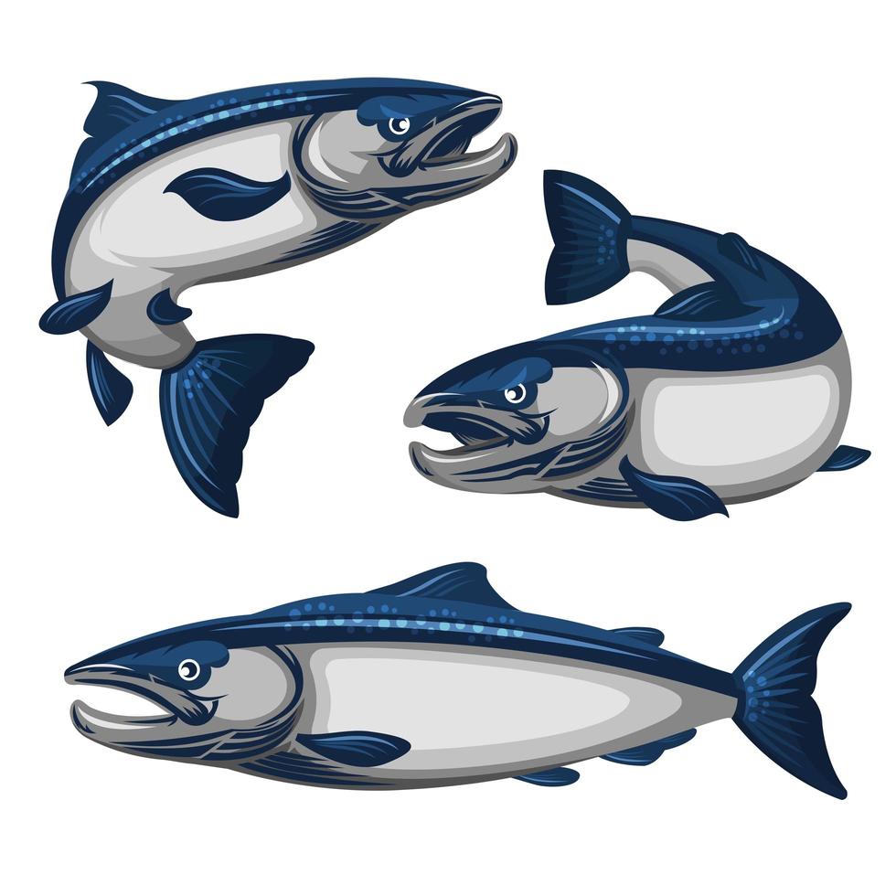 conjunto de pescado salmón azul vector