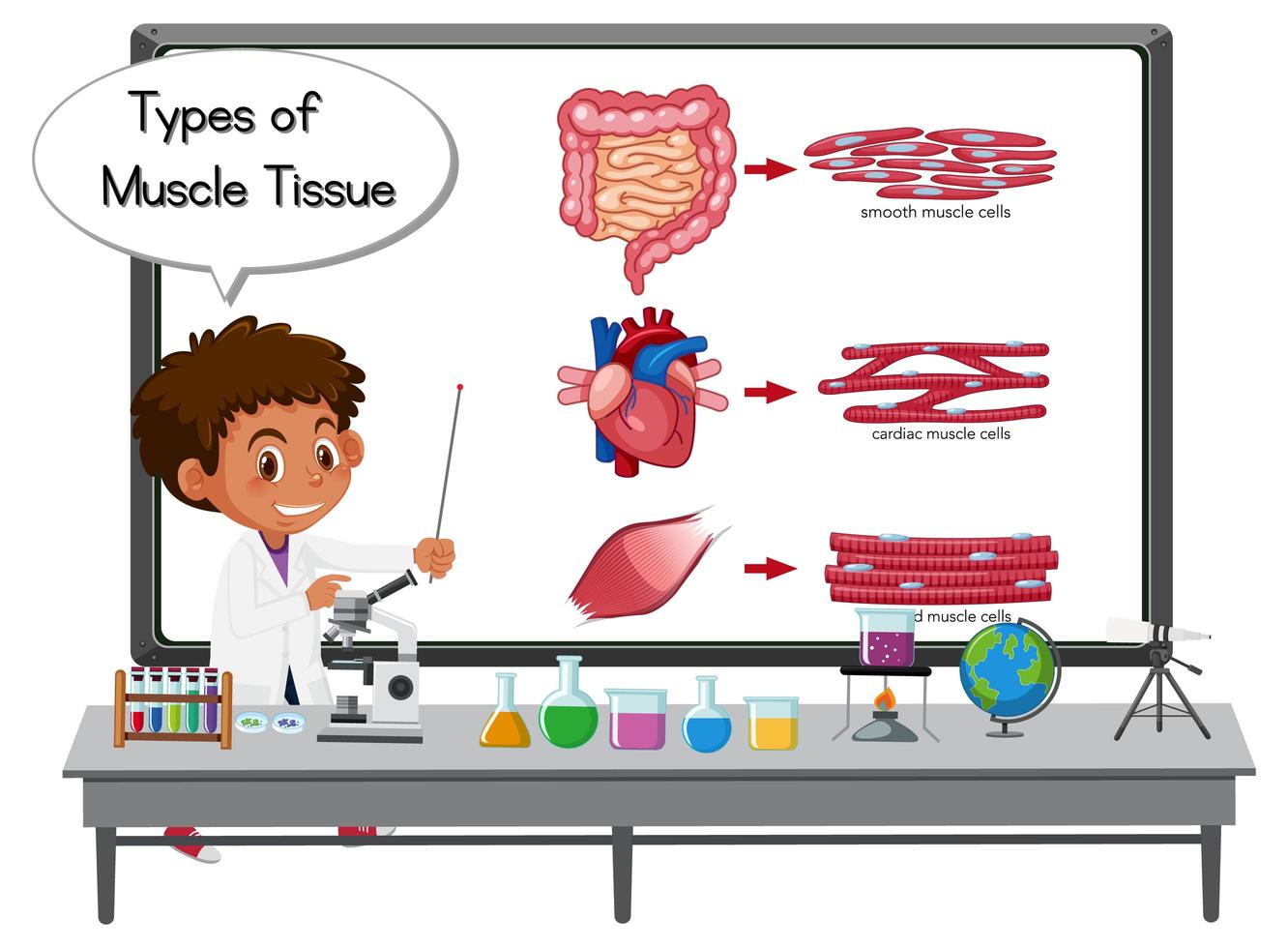 Joven científico explicando los tipos de tejido muscular frente a un tablero con elementos de laboratorio vector