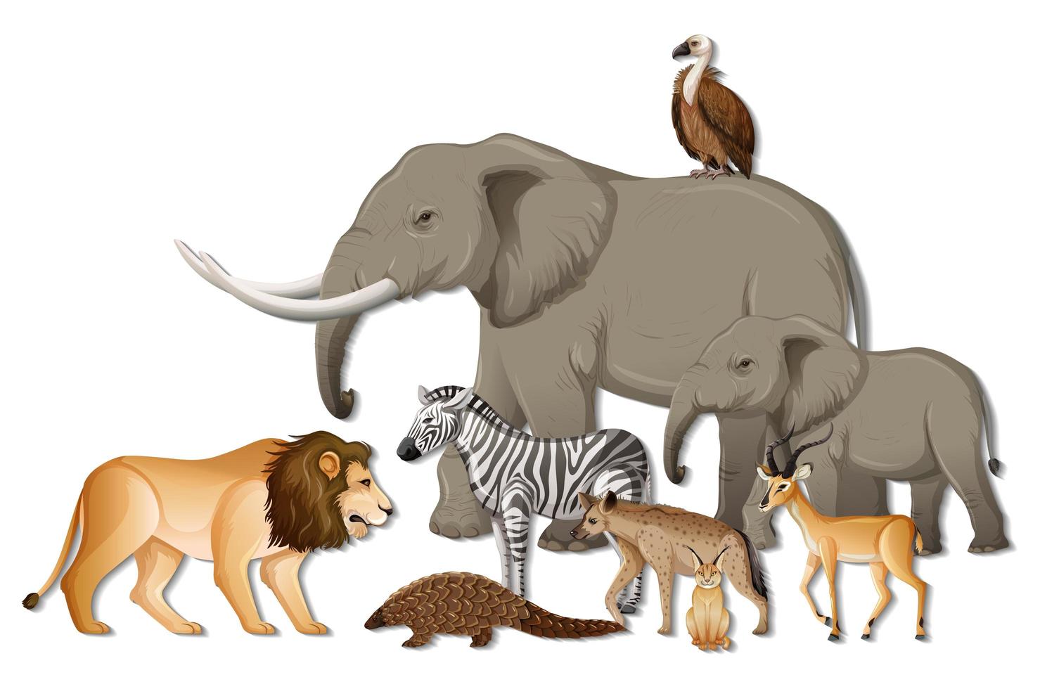 Grupo de animales salvajes africanos sobre fondo blanco. vector