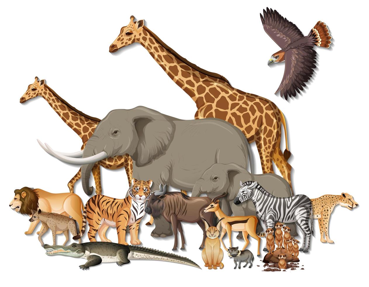 Grupo de animales salvajes africanos sobre fondo blanco. vector