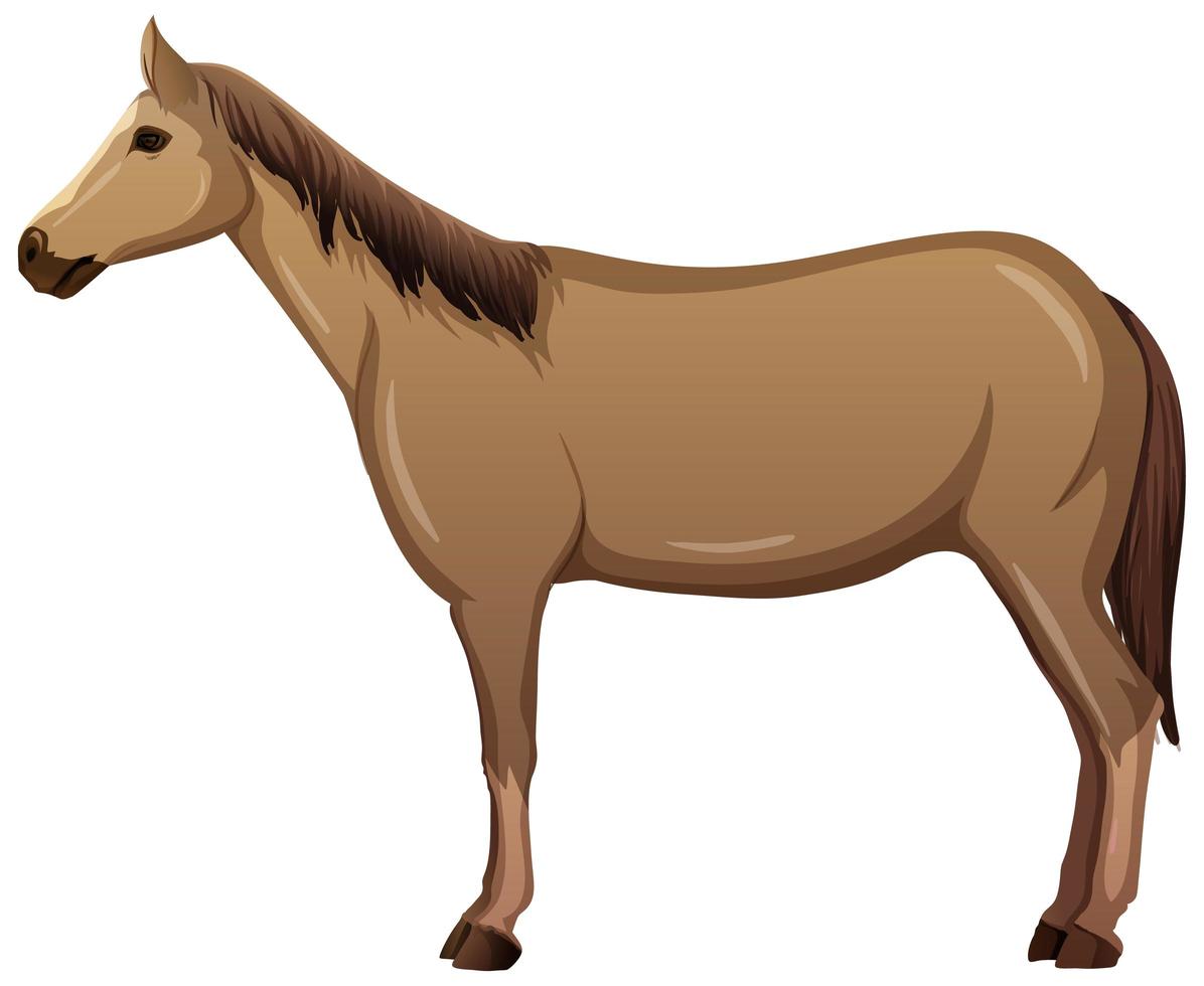 un caballo en estilo de dibujos animados aislado sobre fondo blanco vector