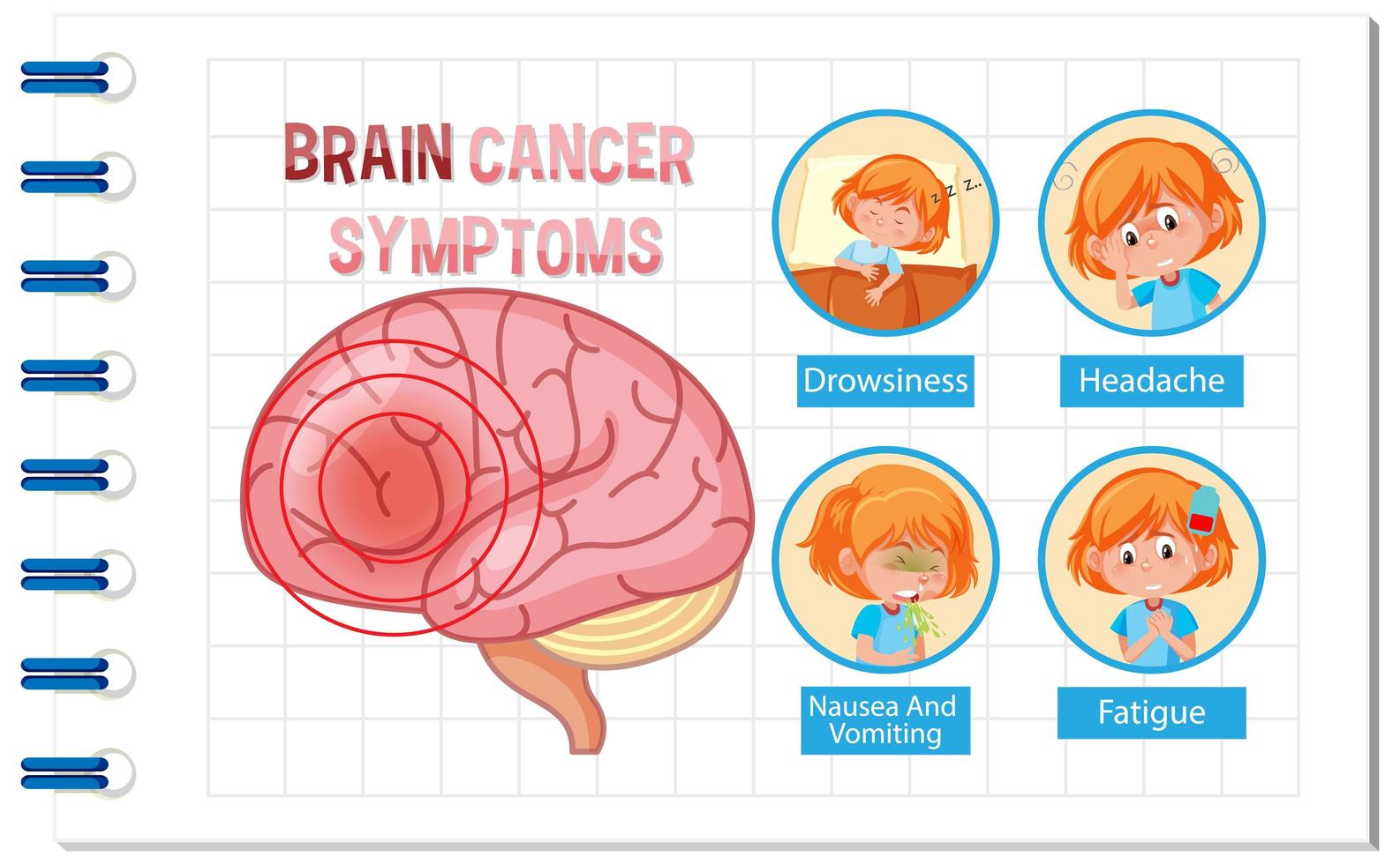 cartel de información del diagrama del cerebro humano vector