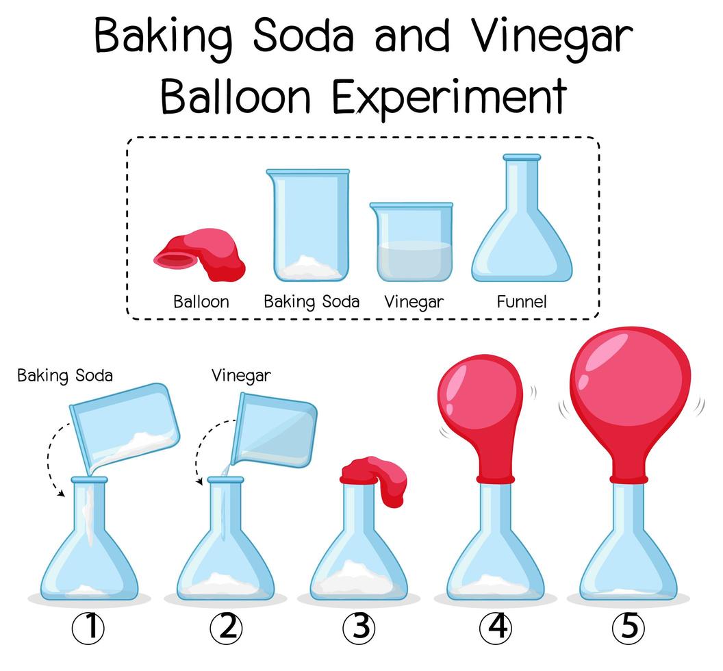 Science experiment with baking soda and vinegar balloon vector