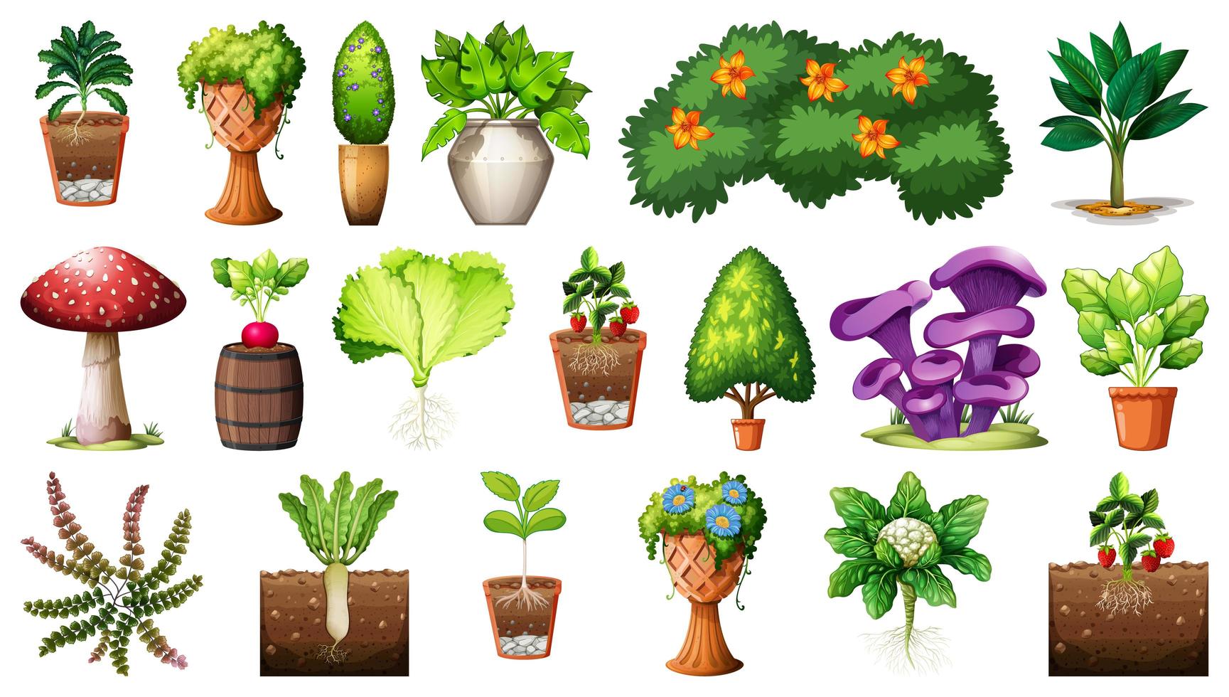 Conjunto de diferentes plantas en macetas aislado sobre fondo blanco. vector