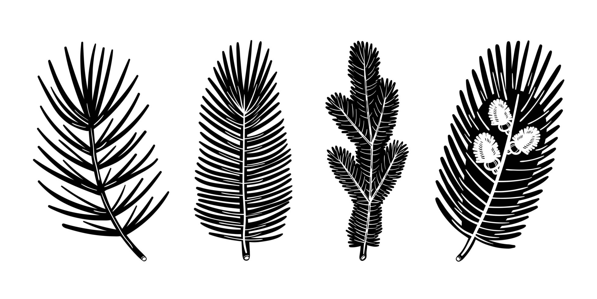 Spruce branch pine tree element set. Christmas plant monochrome design. vector