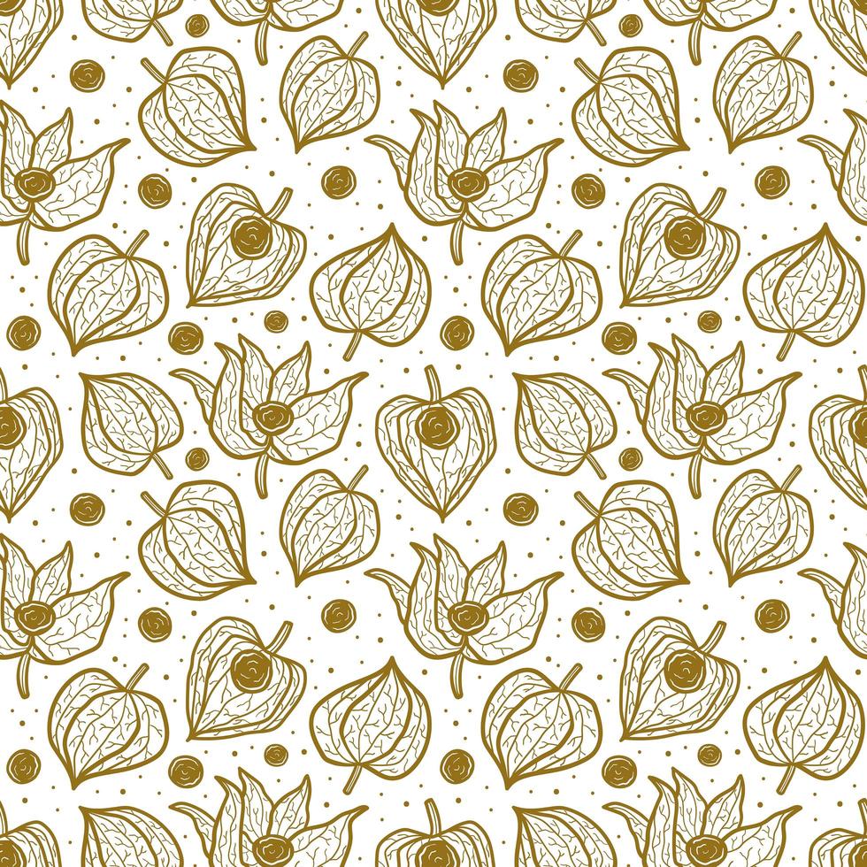 Physalis, winter cherry seamless pattern, texture, background. Floral packaging design. vector