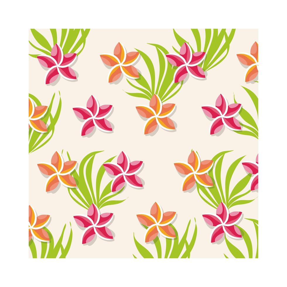 pink flowers plants tropical pattern background vector