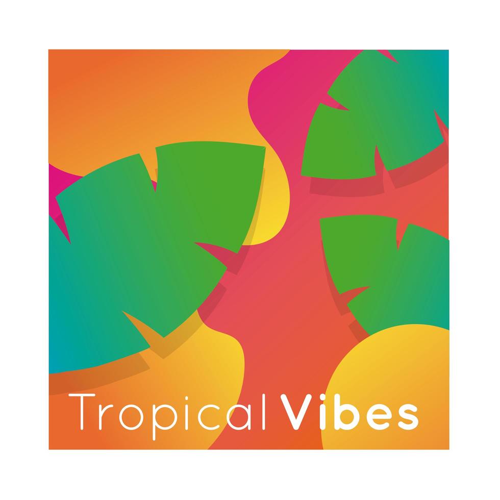 Banner colorido de vibraciones tropicales con plantas frondosas vector