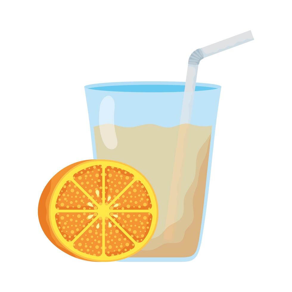 orange citrus fruit with juice glass vector