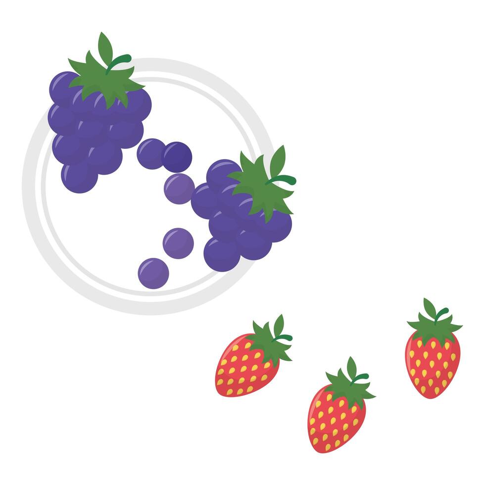 diseño vectorial de frutas aisladas vector