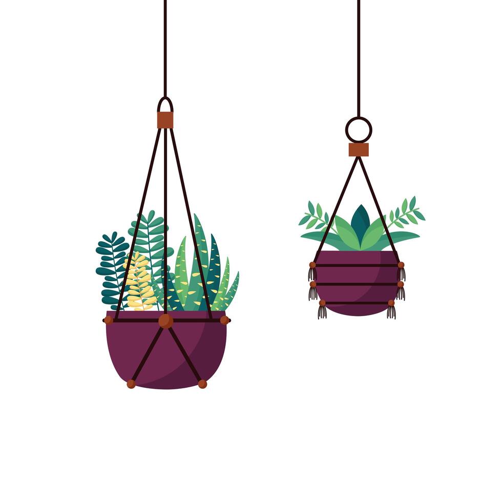 Hanging plants inside pots vector design