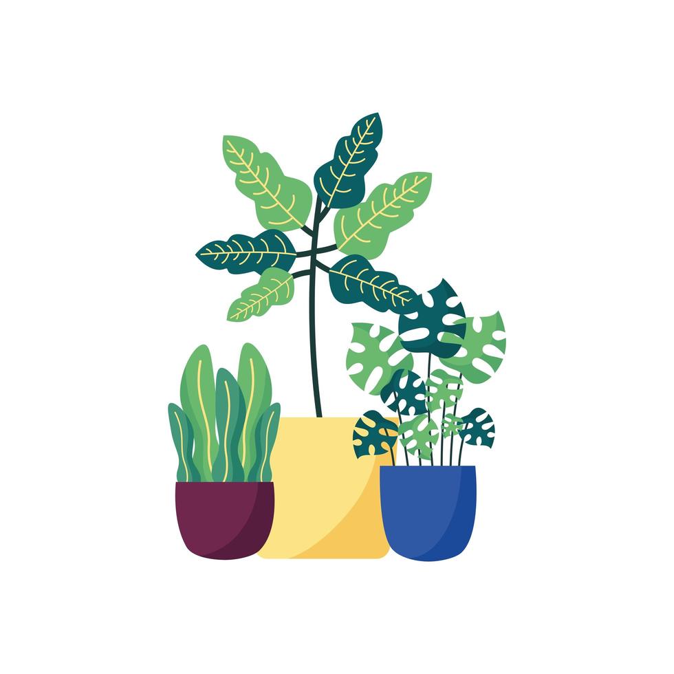 Plantas aisladas dentro de macetas de diseño vectorial vector