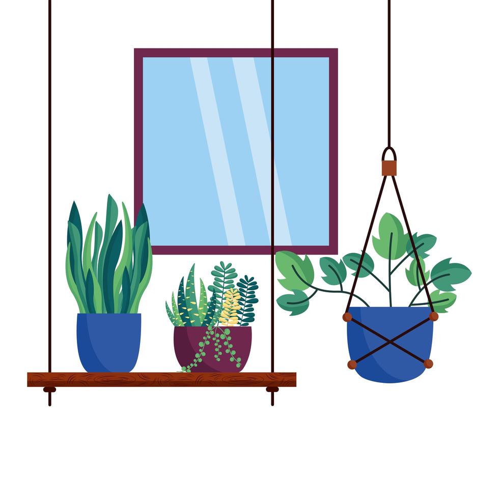 Plantas aisladas y diseño vectorial de ventana. vector