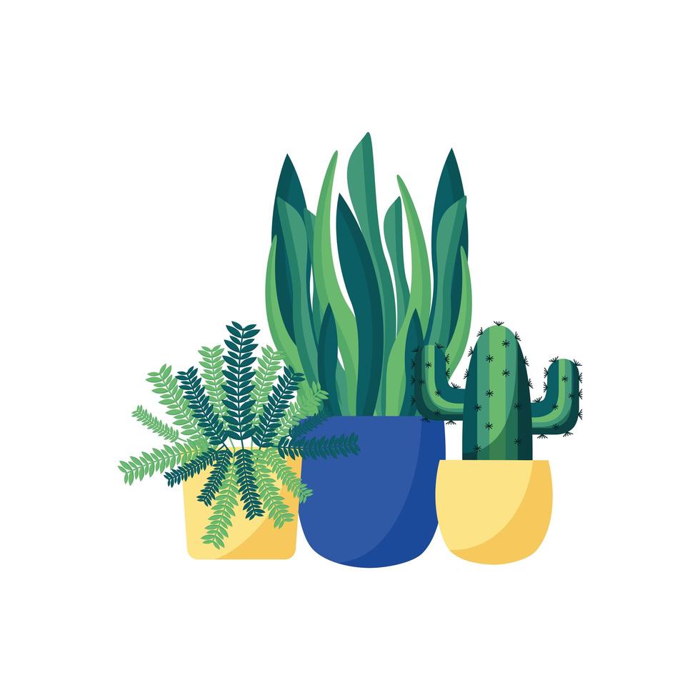 Plantas aisladas dentro de macetas de diseño vectorial vector