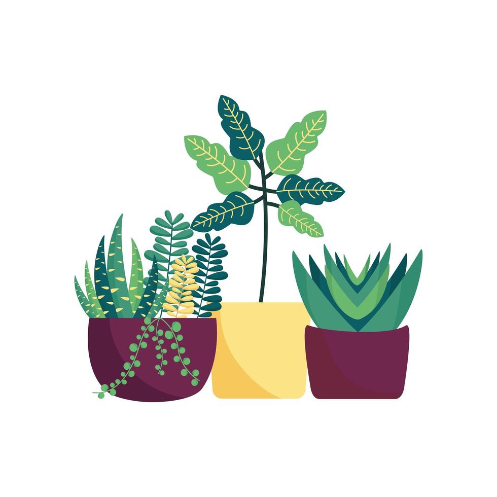 Plantas aisladas dentro de macetas de diseño vectorial vector