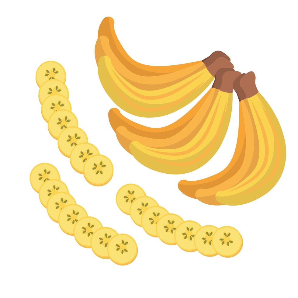 diseño de vector de fruta de plátano aislado