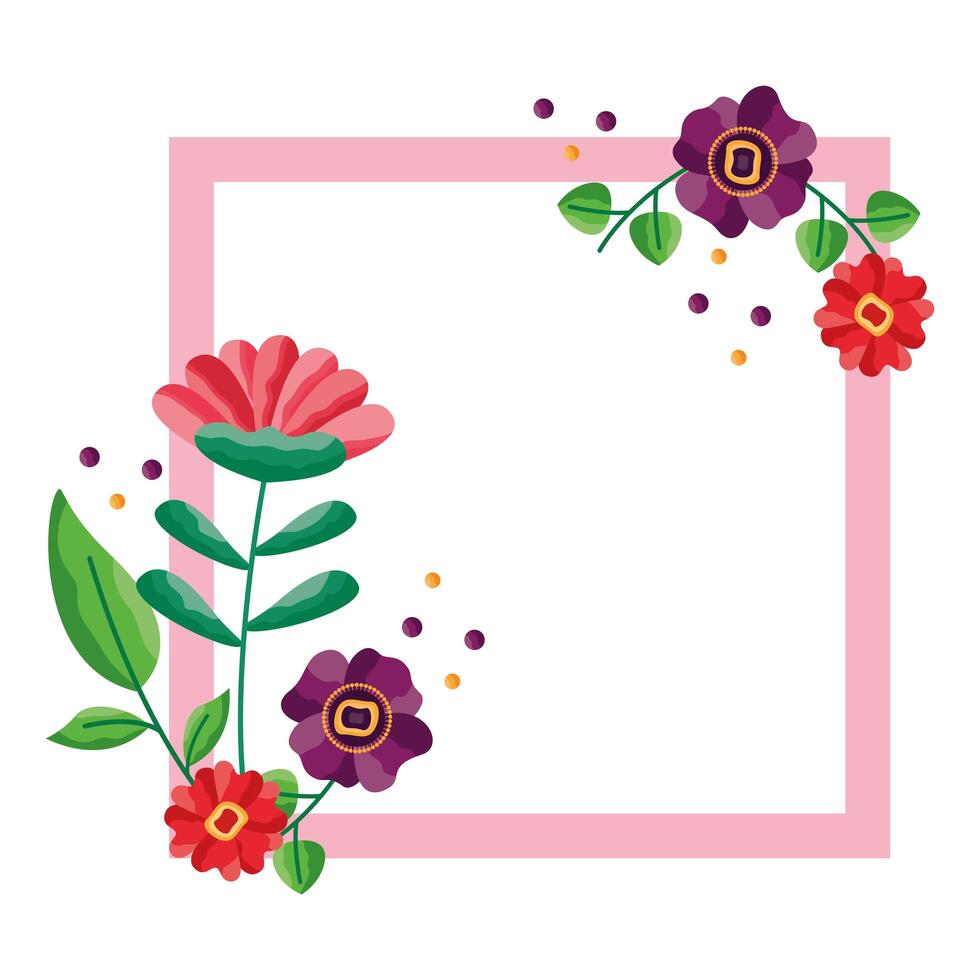 Isolated flowers frame vector design