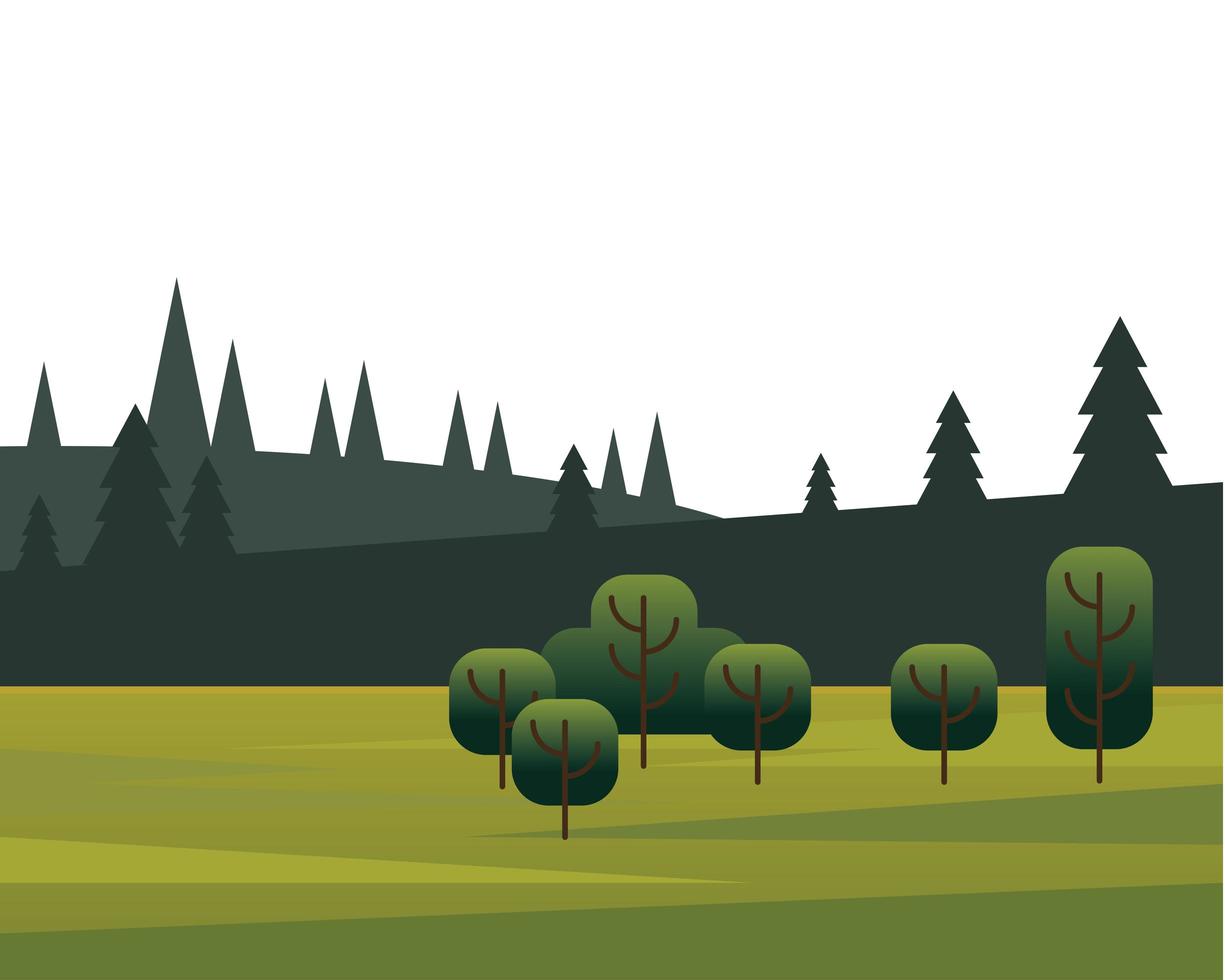 árboles y bosques de pinos en la escena del campo. vector