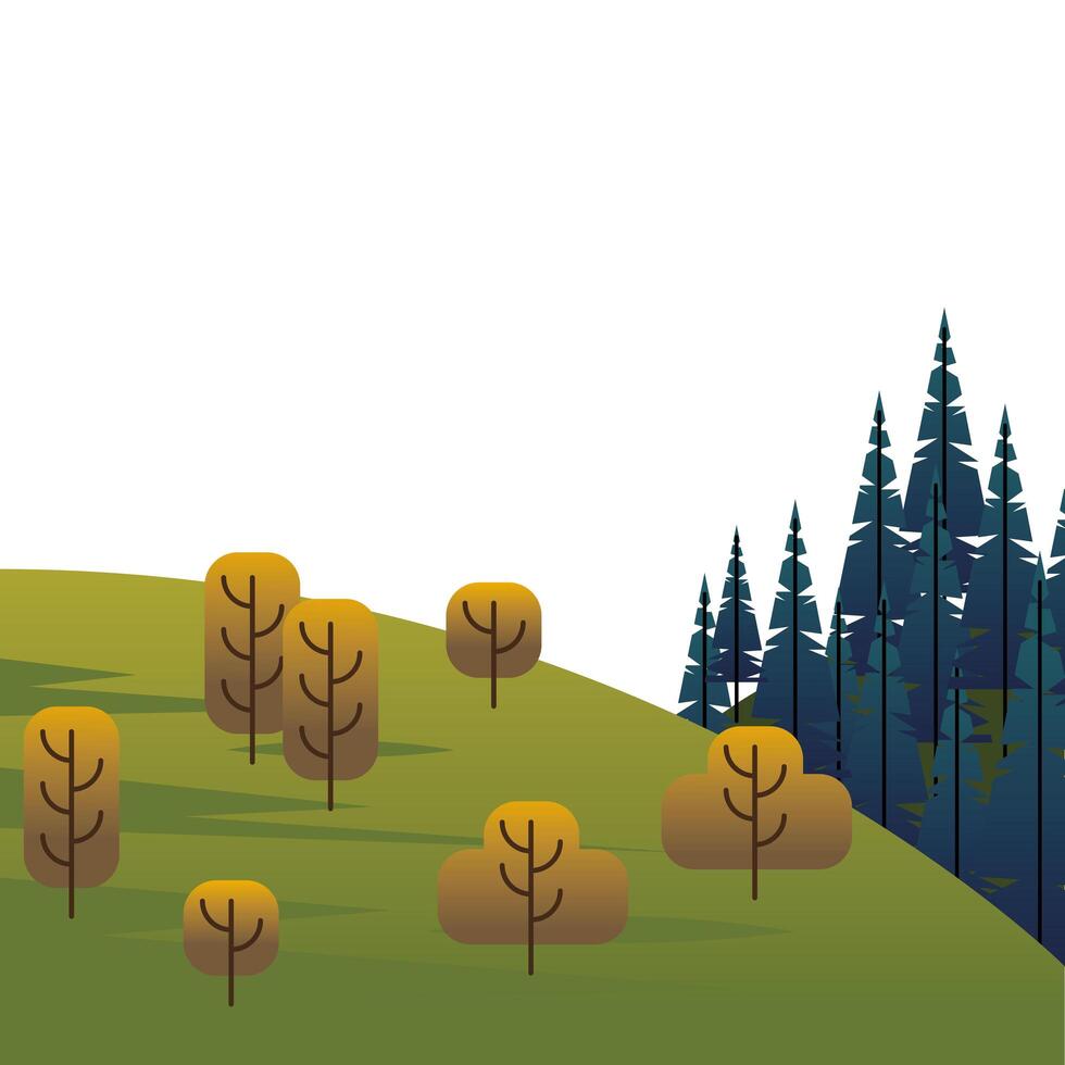 árboles y bosques de pinos en la escena del campo. vector