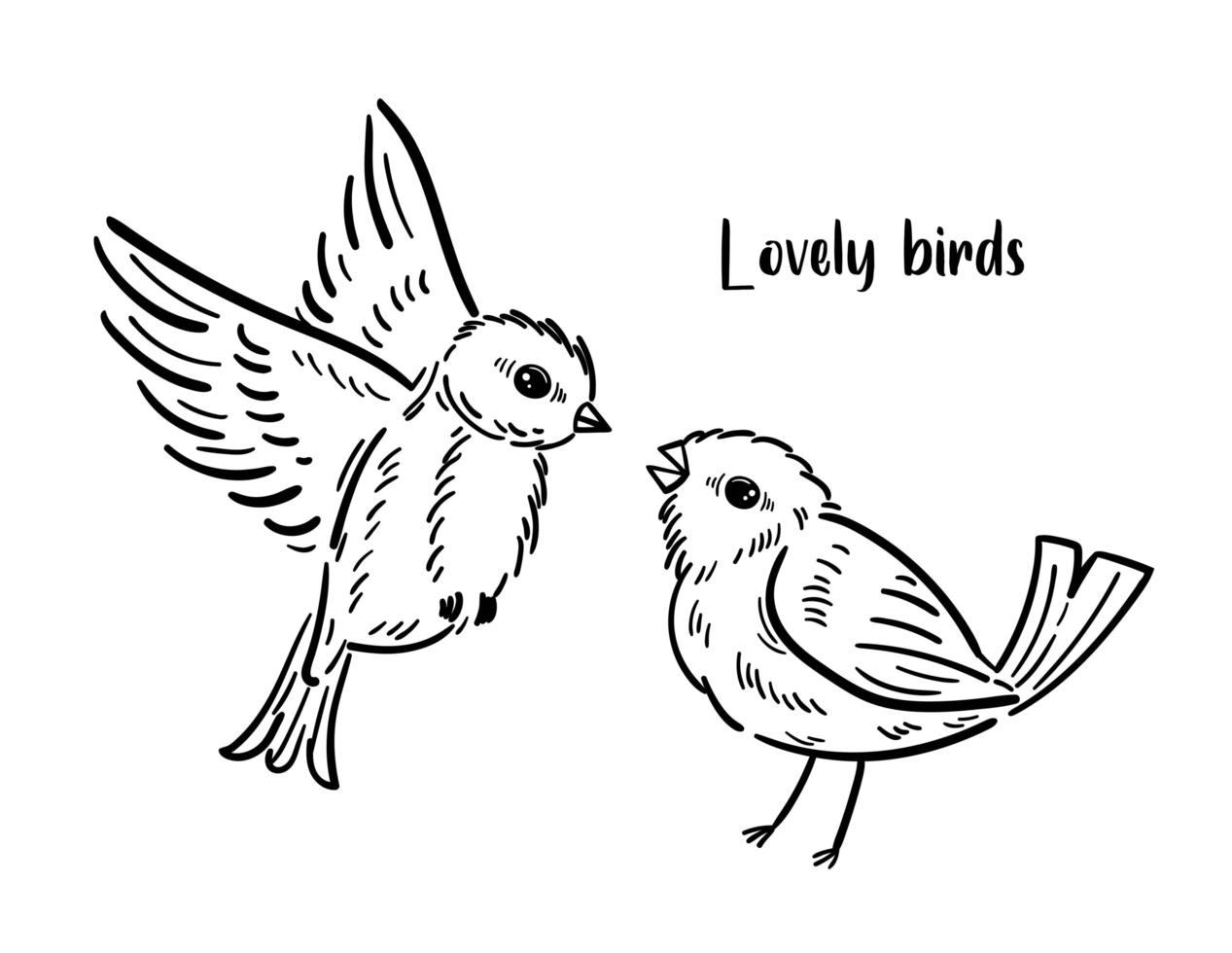 Hand drawn couple of birds. Cute animals monochrome design. vector