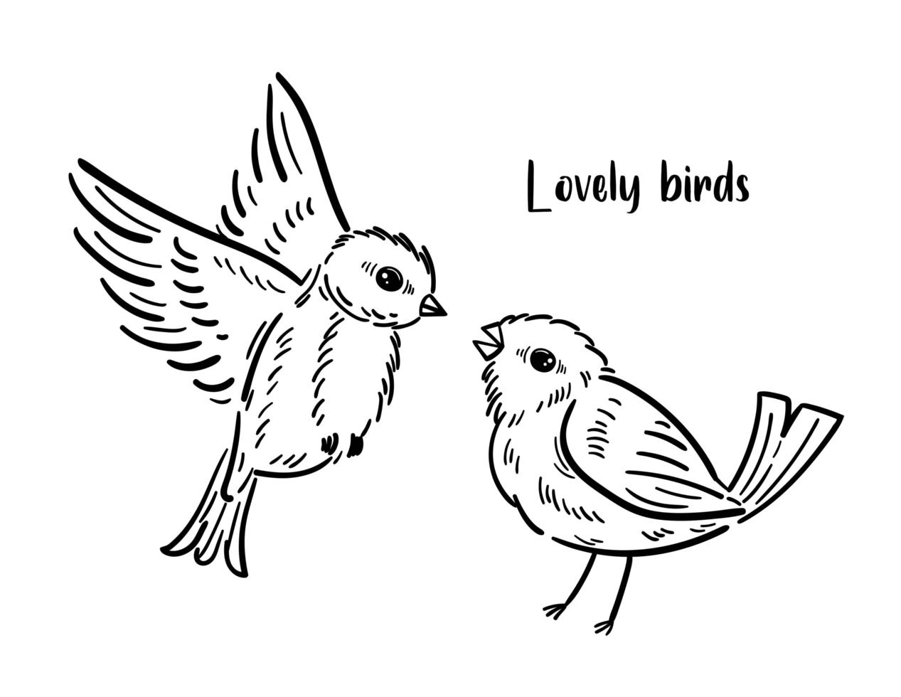 Hand drawn couple of birds. Cute animals monochrome design. vector