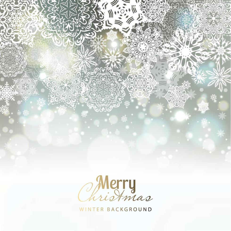 Snowflake background on silver. vector