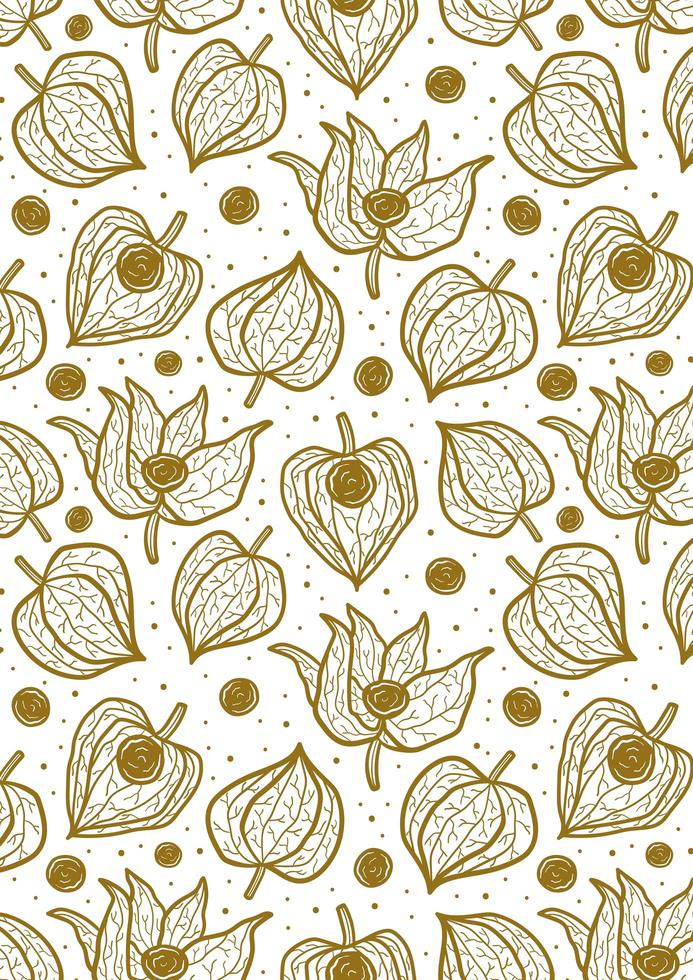 Physalis, winter cherry seamless pattern, texture, background. vector