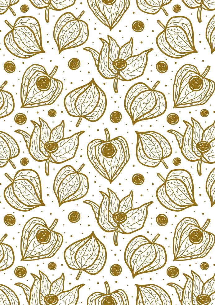 Physalis, patrón transparente de cereza de invierno, textura, fondo. vector