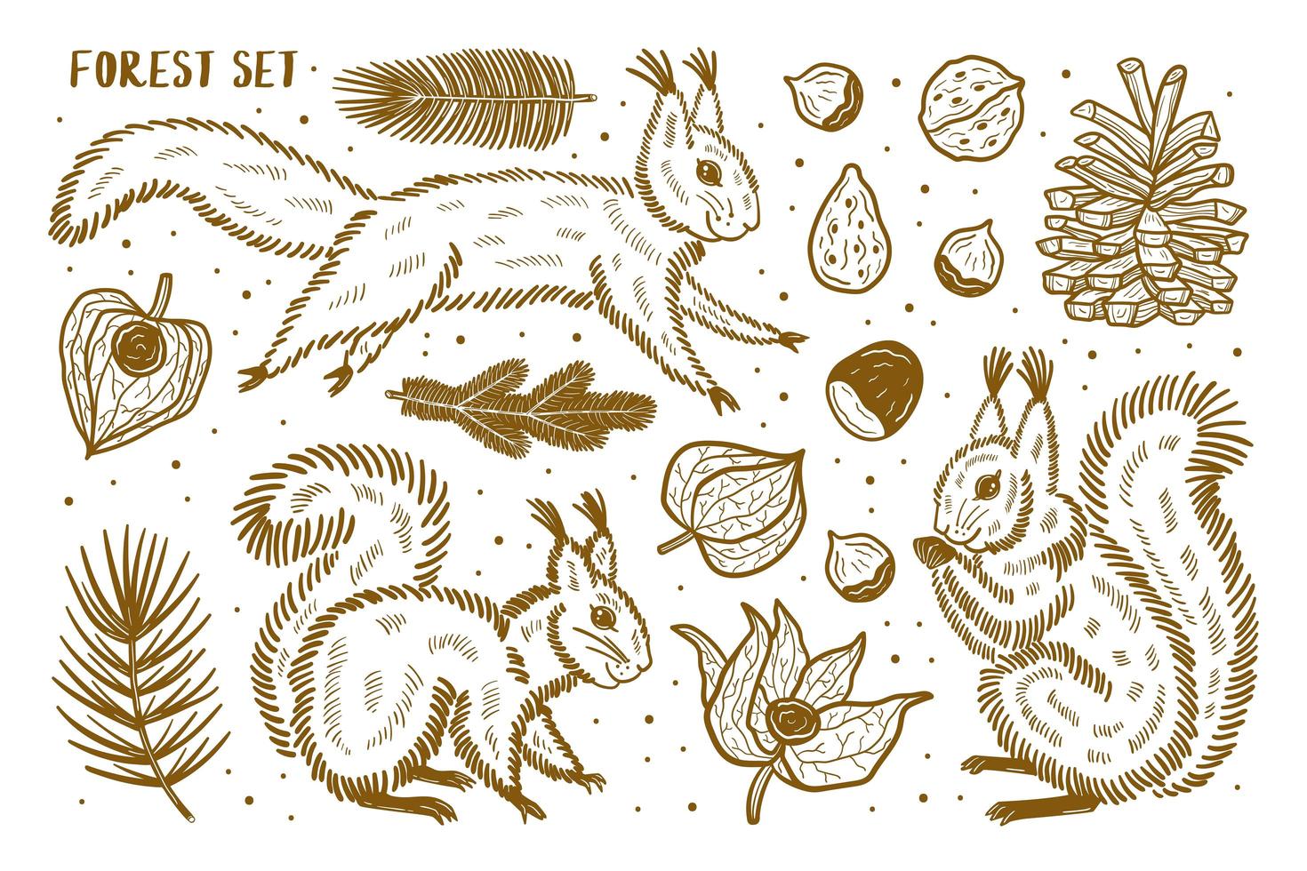 Forest set of elements, clip art. Animals, nature, plants. vector