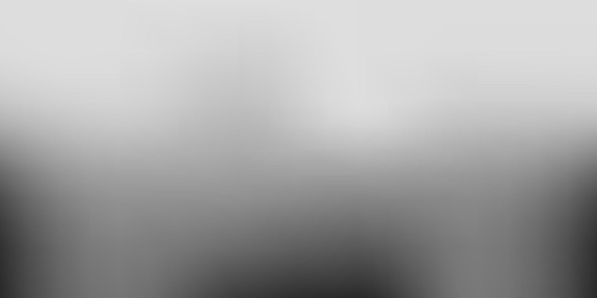 Light Gray vector blur backdrop.