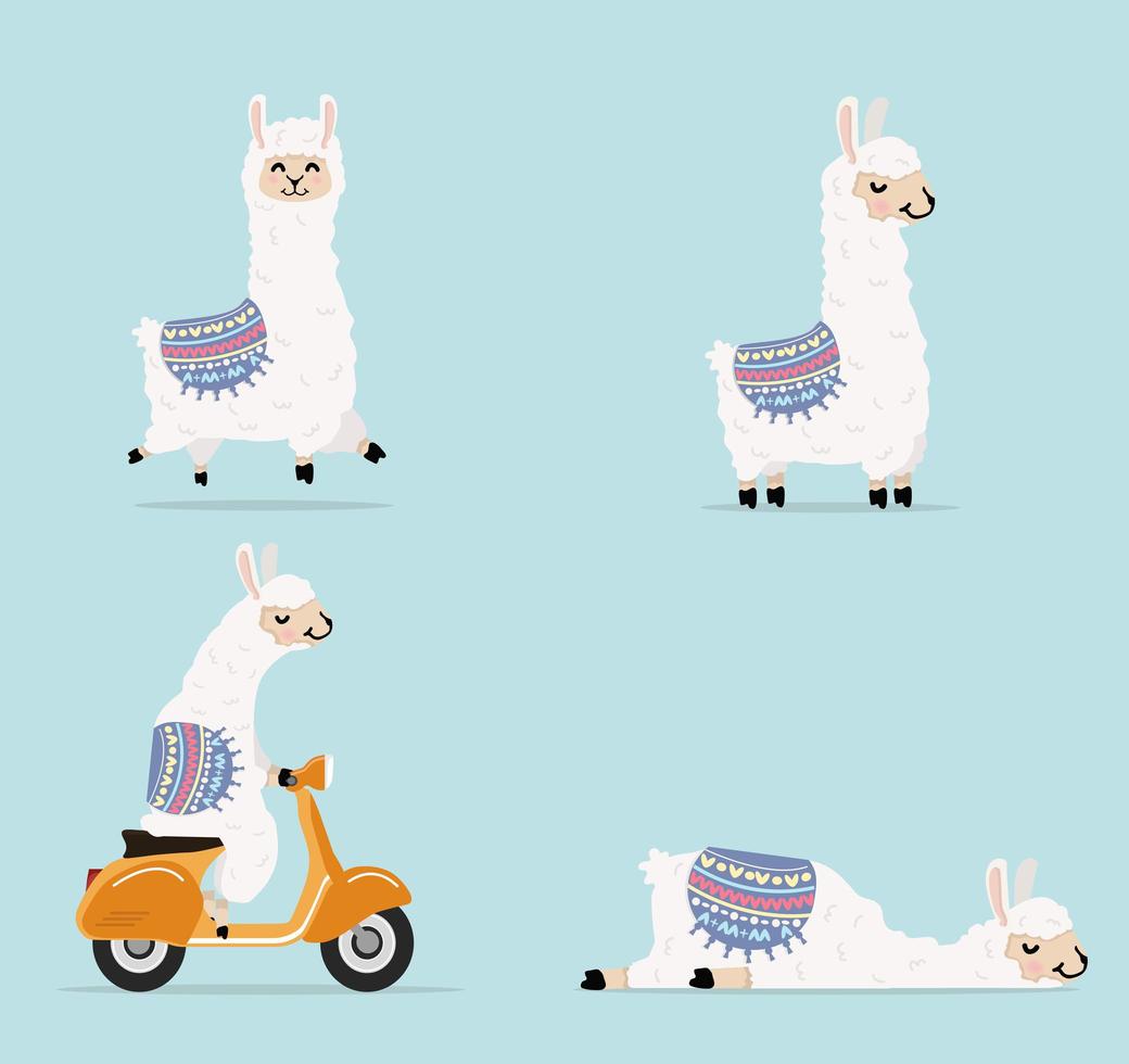 lindo conjunto de caracteres de dibujos animados de llama y alpaca vector