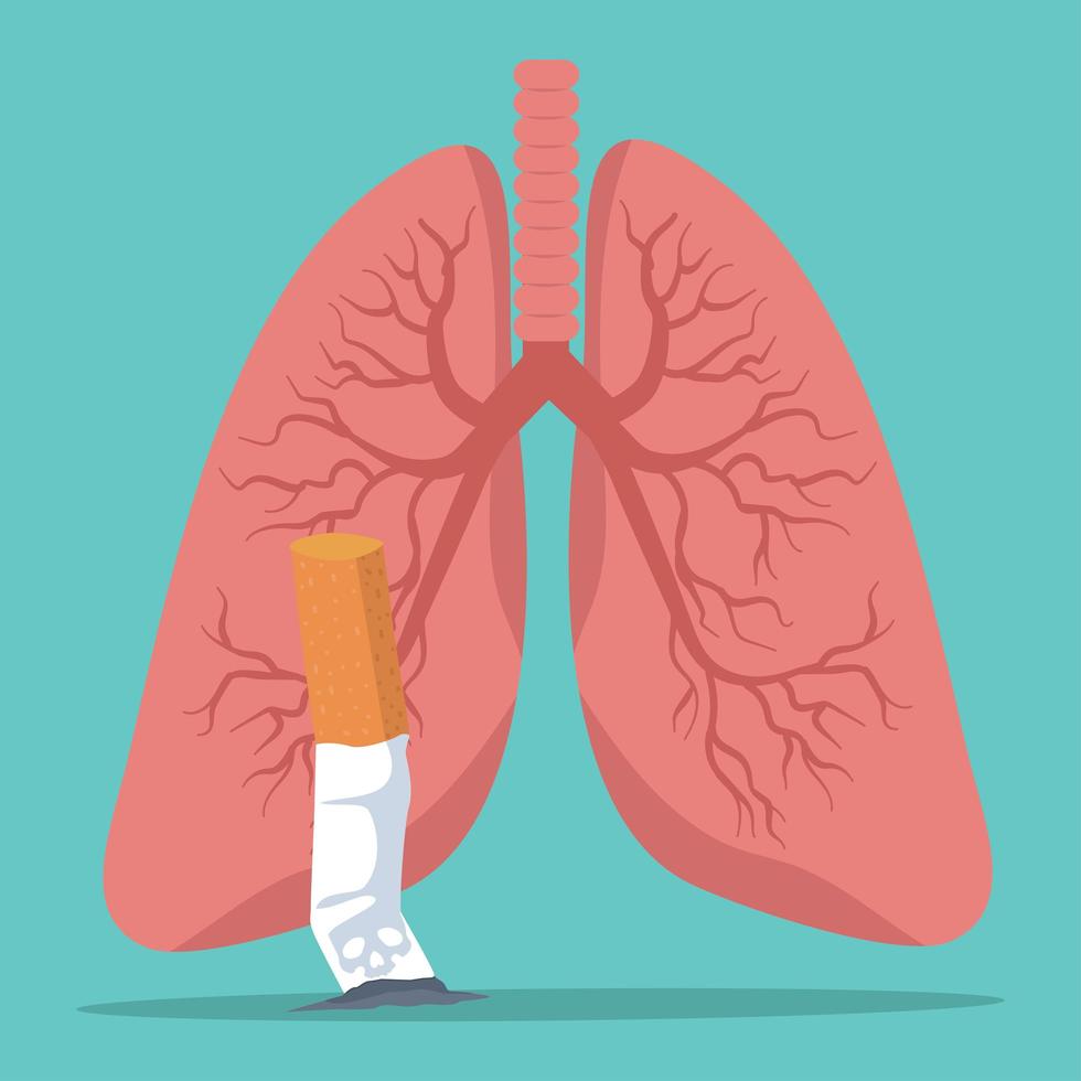 Health tips with cigarette and lungs concept vector