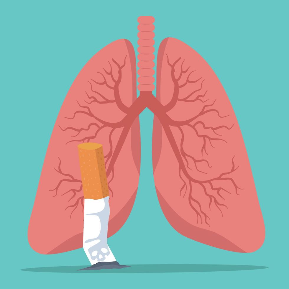 Consejos de salud con concepto de cigarrillos y pulmones. vector