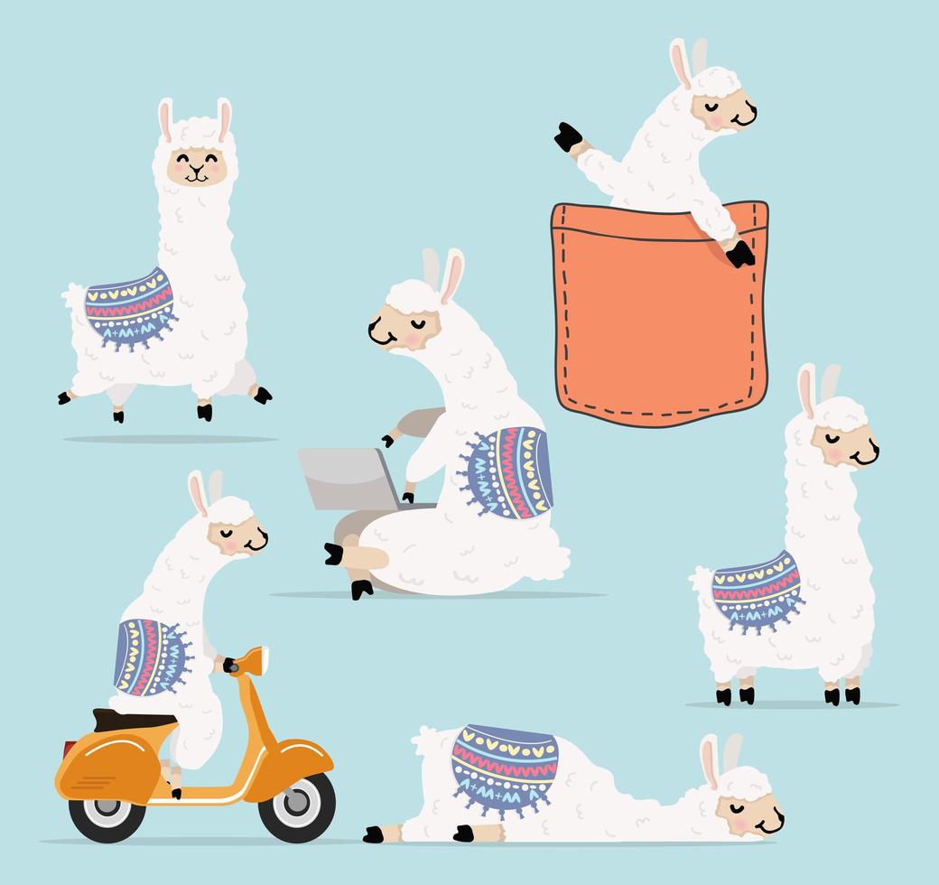 Cartoon llama and alpaca character collection vector