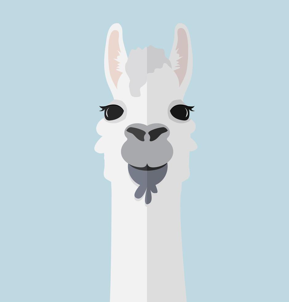 Alpaca or llama portrait flat vector