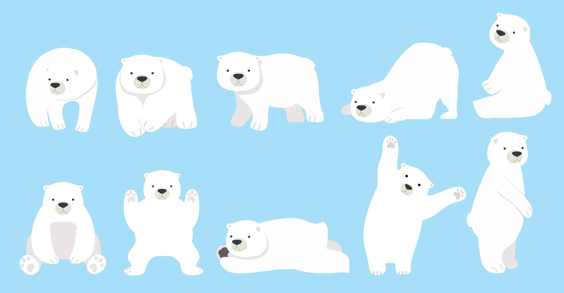 Cute polar bear funny character set vector
