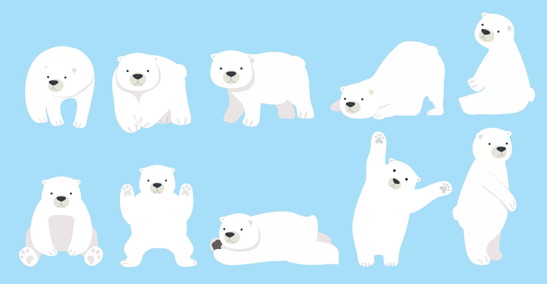 Cute polar bear funny character set vector