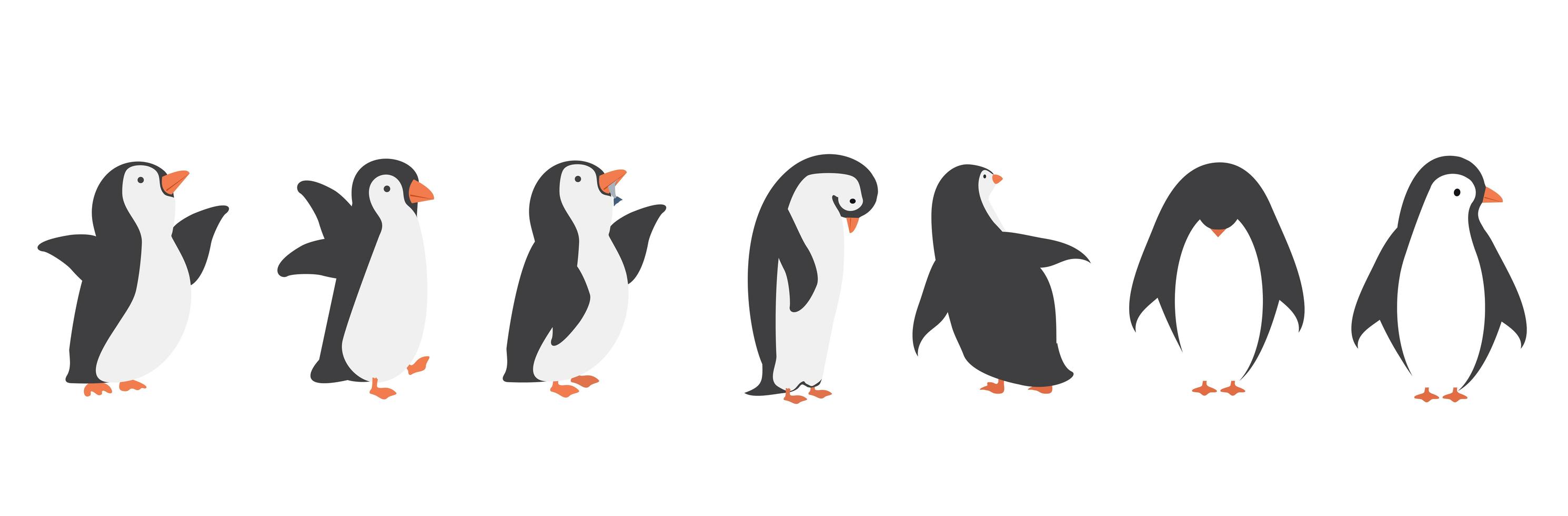 conjunto de caracteres de pingüino vector